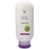 Shampooing alès jojoba